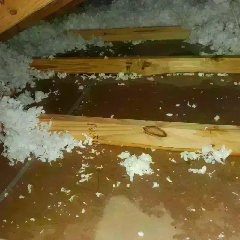 Attic Water Damage in Miller County, GA