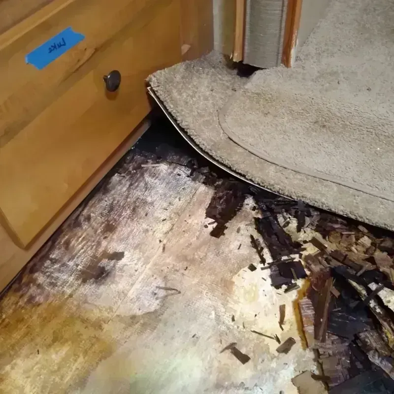 Best Wood Floor Water Damage Service in Miller County, GA